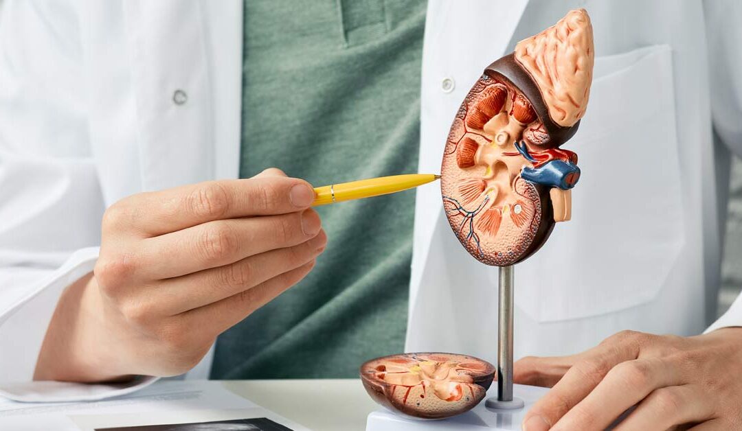 how do you get kidney stones